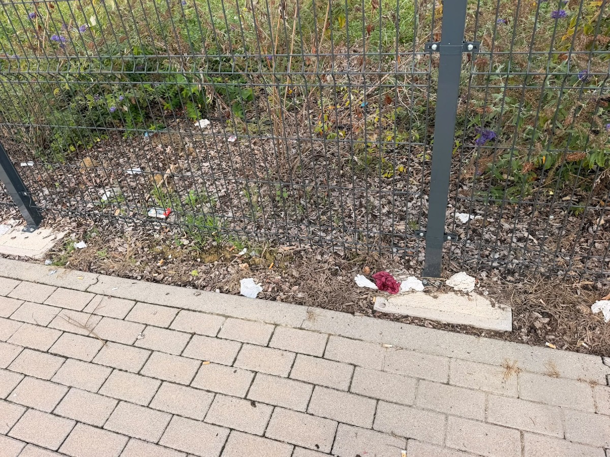 Vicenza, pulizia al Parco delle Madri Costituenti: raccolti rifiuti e un televisore