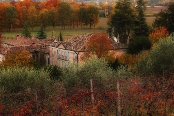 Natura in Villa 2026, sette dimore storiche aprono parchi e giardini tra Padova e Vicenza