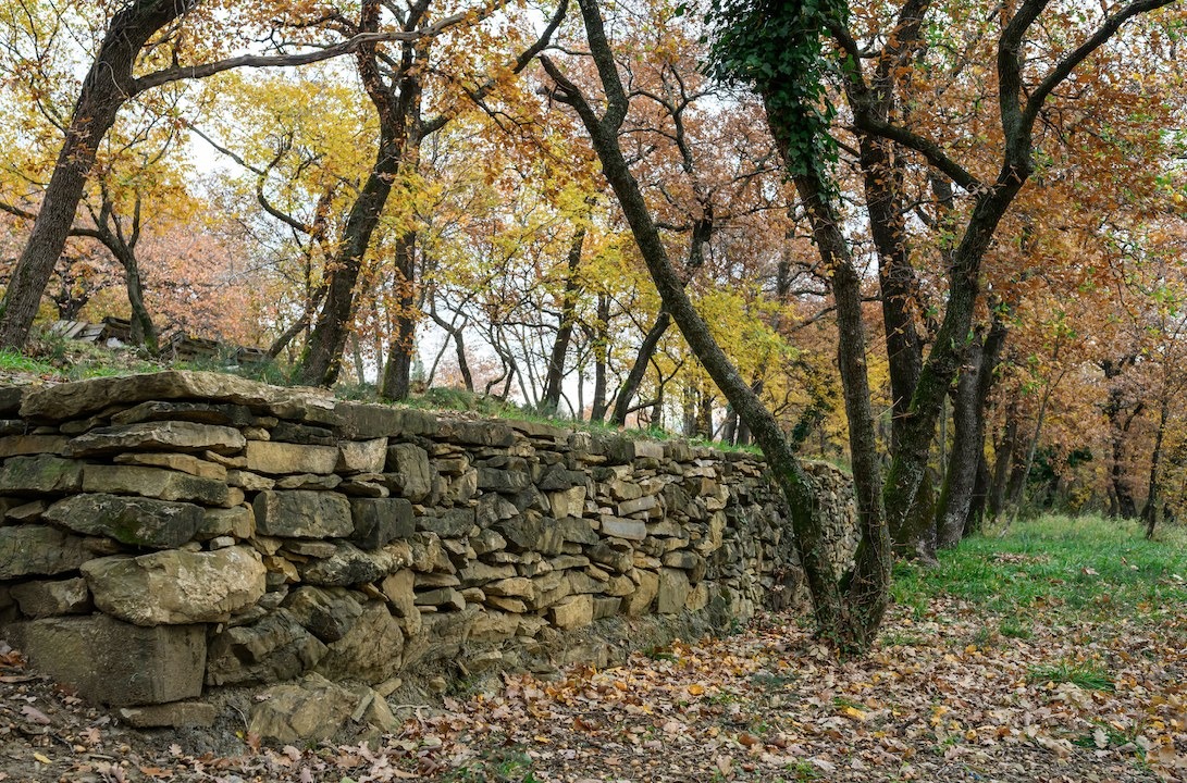 Trieste, il Podere di Štelavce rinasce a Borgo San Sergio: presentazione il 16 ottobre