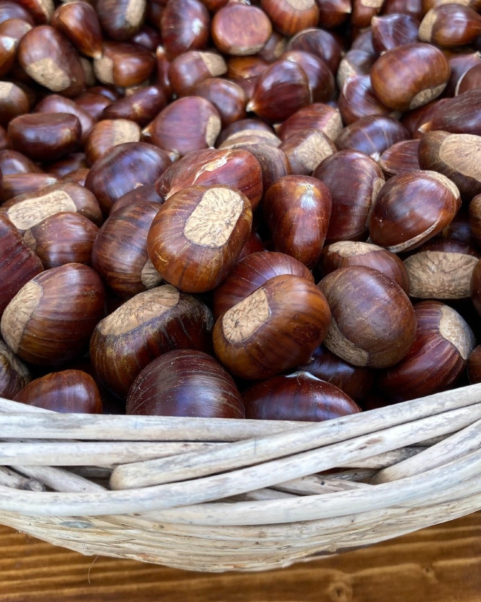 Udine, castagne calde in piazza Primo Maggio: orari e proposta autunnale al chiosco