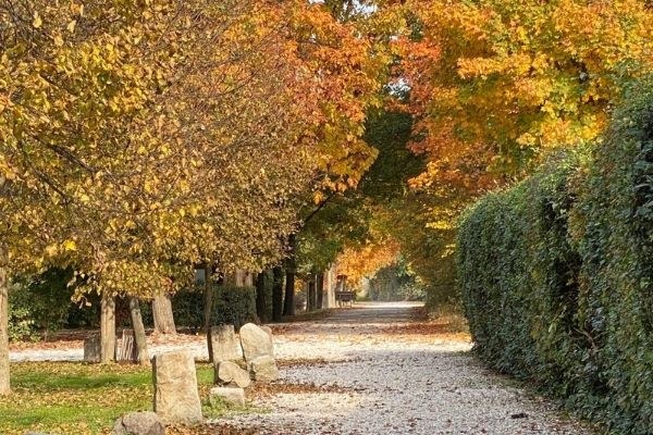 Natura in Villa, domenica 25 ottobre tre dimore storiche aperte tra Rovolon, Thiene e