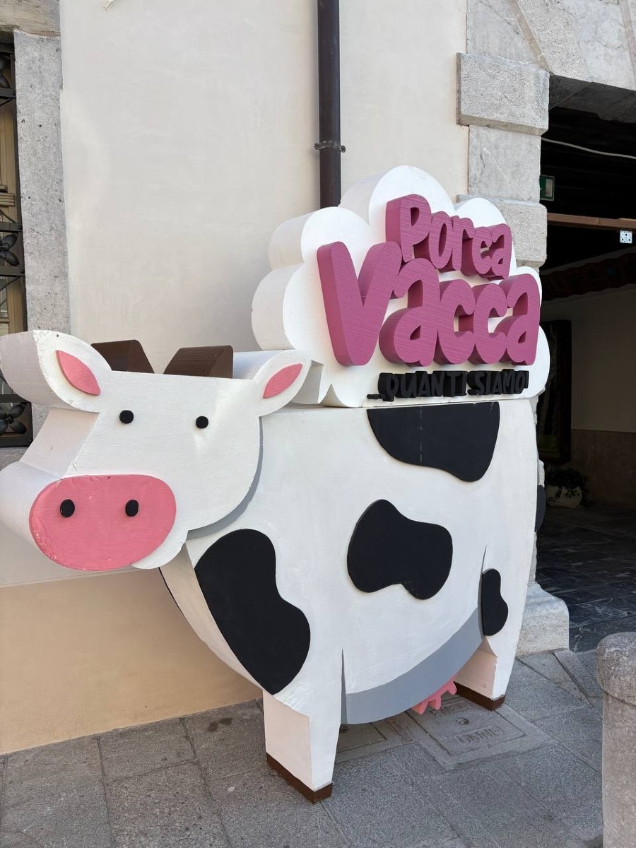 Tolmezzo, al Museo Carnico un weekend tra animali, erbe e laboratori per famiglie