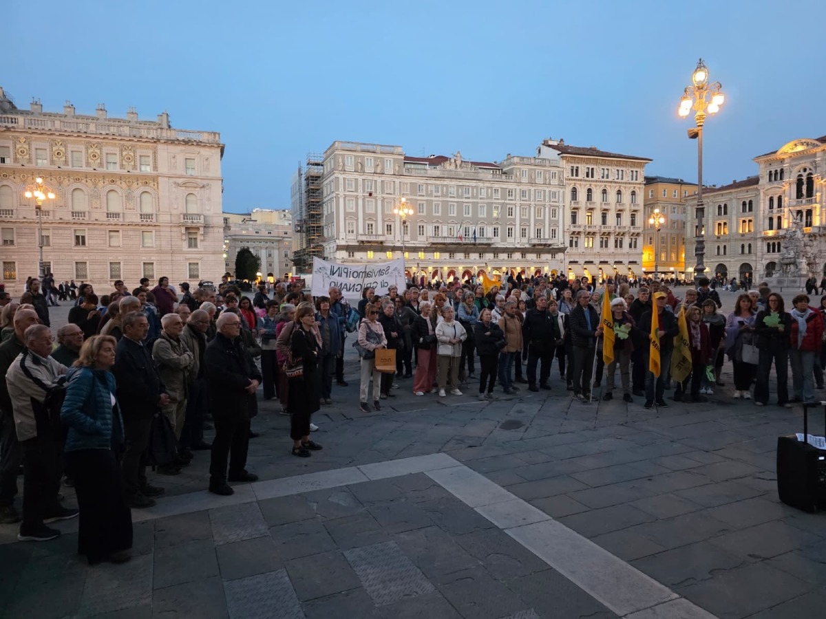 Grignano, mille firme e 300 persone chiedono di fermare l’abbattimento dei pini
