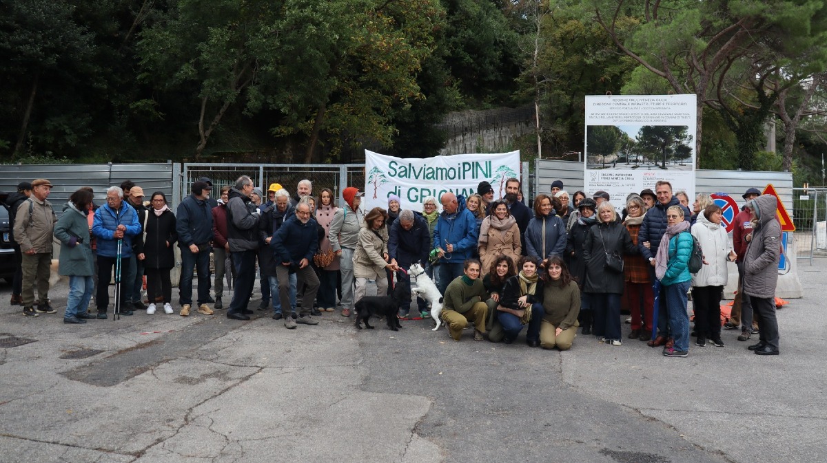 Grignano, nuovo presidio per i pini con la performance di Danze Resistenti