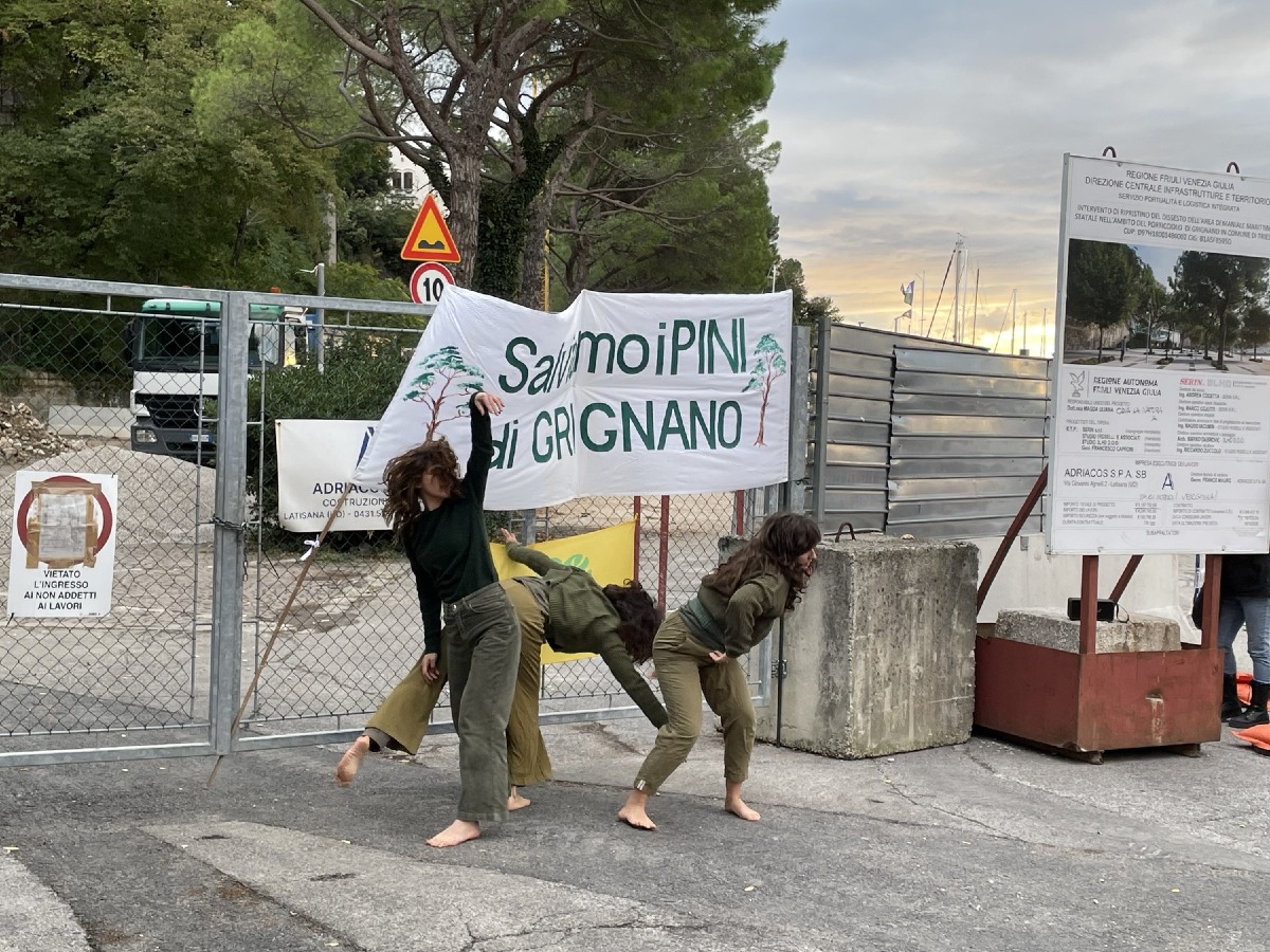Grignano, nuovo presidio per i pini con la performance di Danze Resistenti
