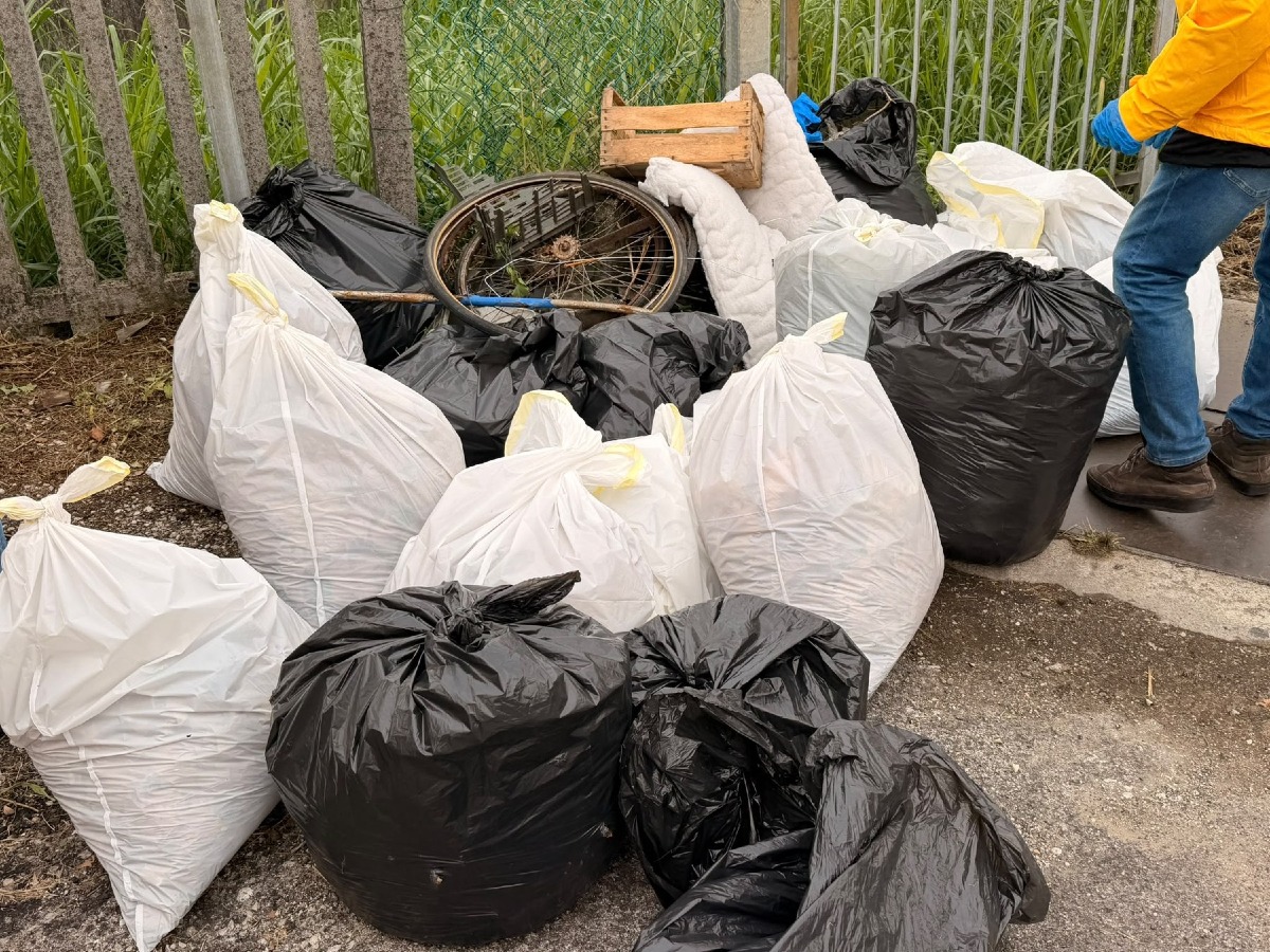 Vicenza, raccolta rifiuti in Viale Anconetta durante la Domenica Ecologica