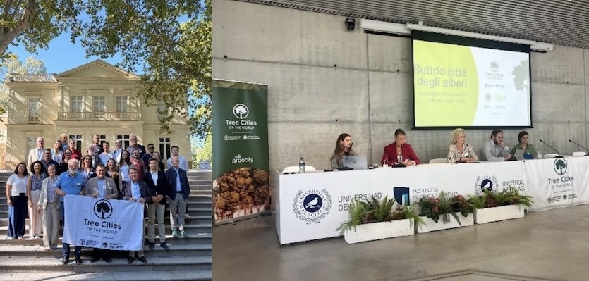 TreeArt Festival e Buttrio al forum europeo di Malaga sulle Tree Cities