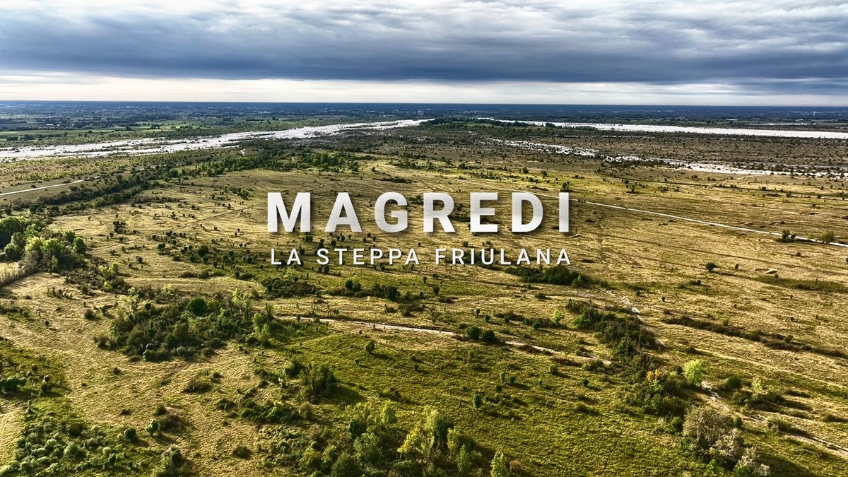 Individuo, cooperazione e socialità: a Udine una rassegna su natura e convivenza