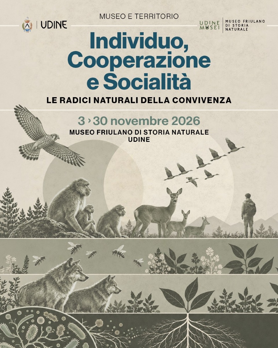 Individuo, cooperazione e socialità: a Udine una rassegna su natura e convivenza
