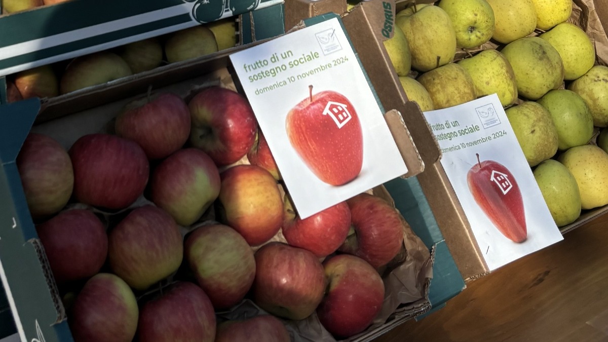 Frutto di un sostegno sociale, l’8 novembre in 220 piazze della Marca trevigiana