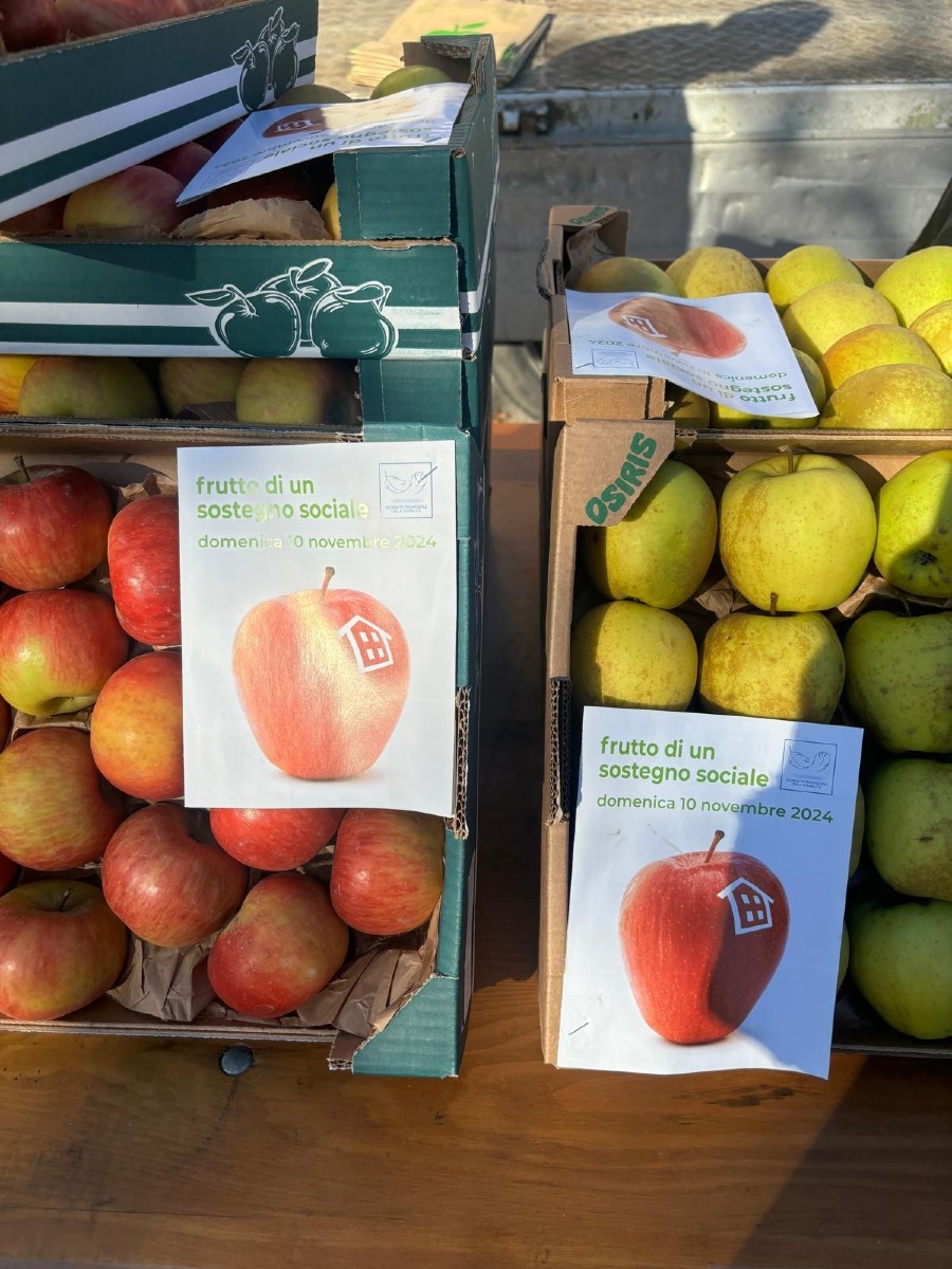 Frutto di un sostegno sociale, l’8 novembre in 220 piazze della Marca trevigiana